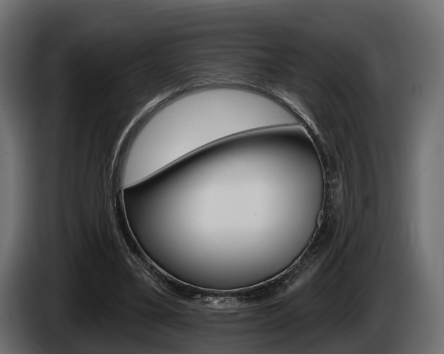 X0000085020395200703050942