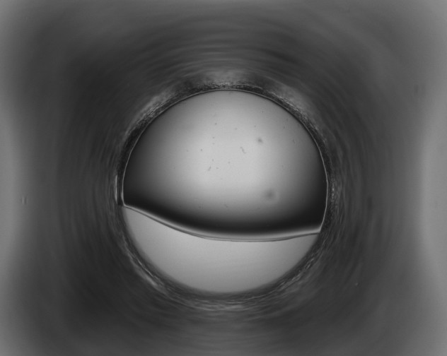 X0000085020397200703050942