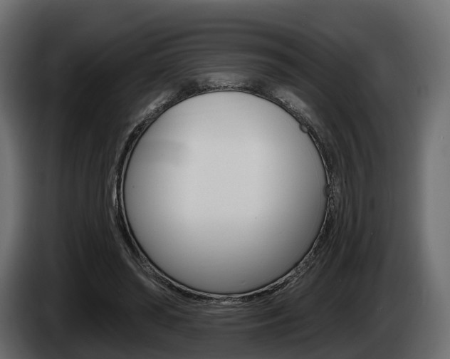 X0000085020398200703050942