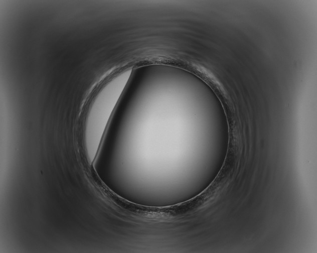 X0000085020399200703050942