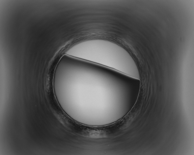 X0000085020400200703050942