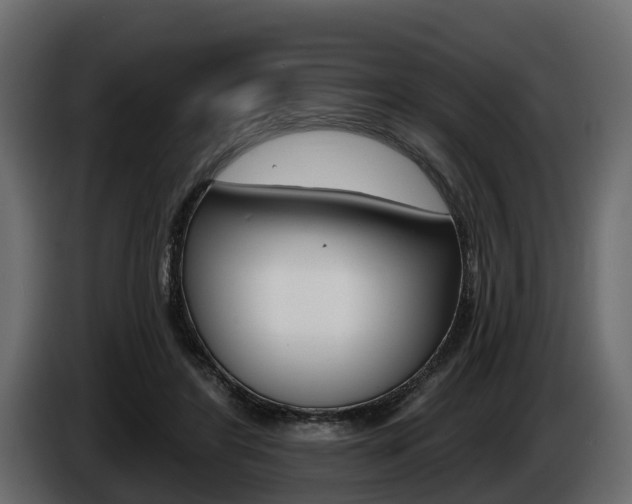 X0000085020404200703050942