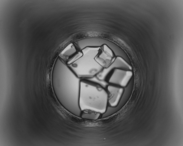 X0000085020405200703050942