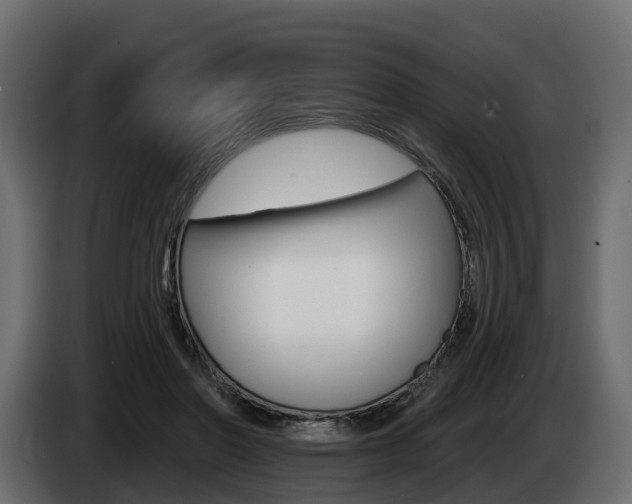 X0000085020406200703050942