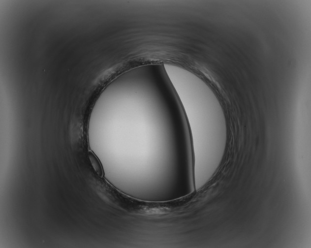 X0000085020407200703050942