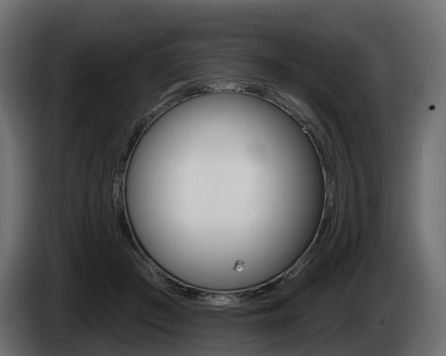 X0000085020409200703050942