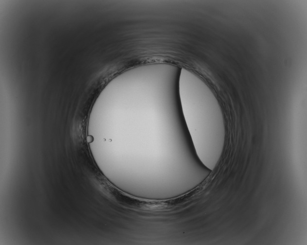 X0000085020410200703050942