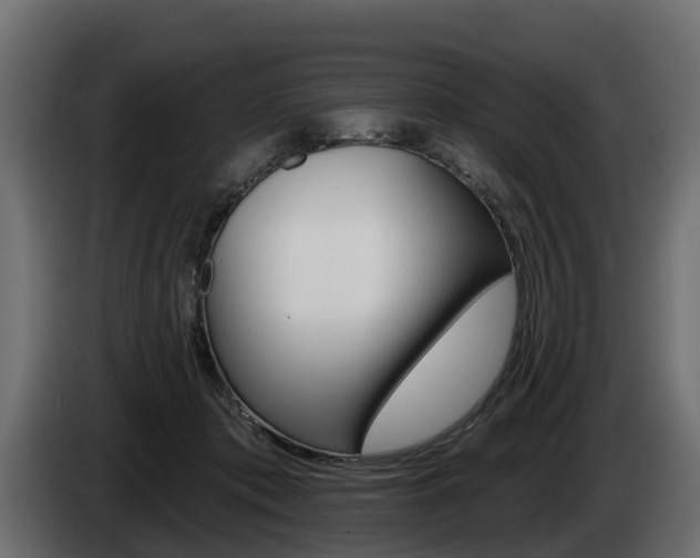 X0000085020413200703050942