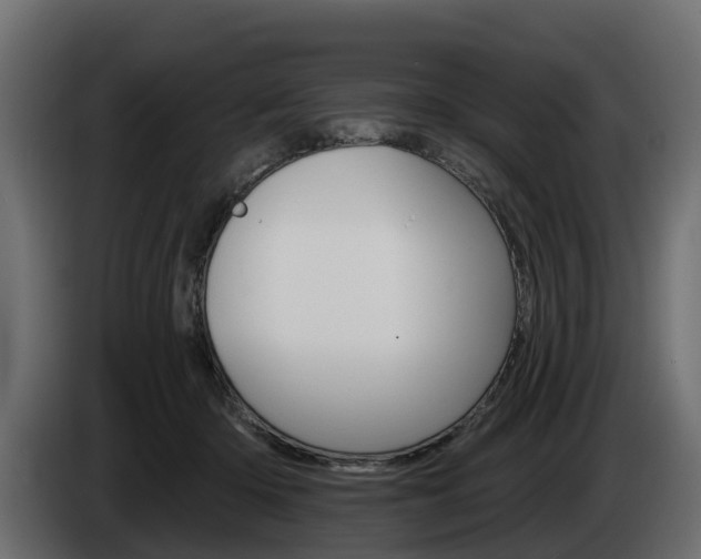 X0000085020414200703050942