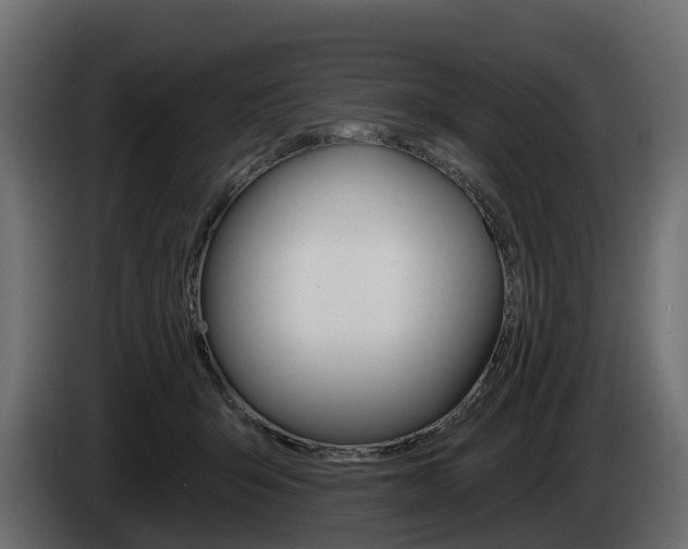 X0000085020415200703050942