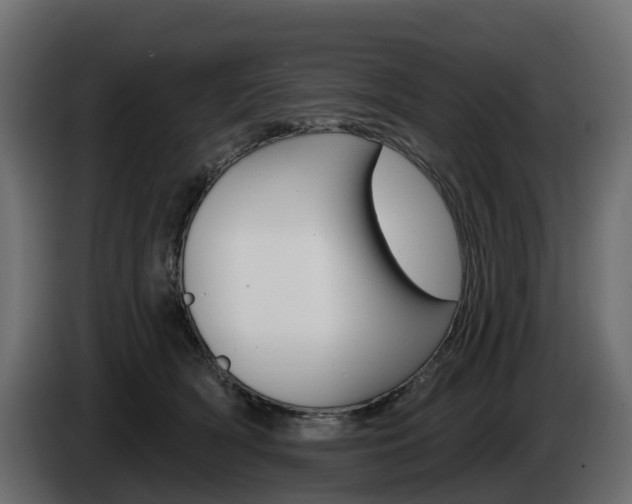 X0000085020418200703050942