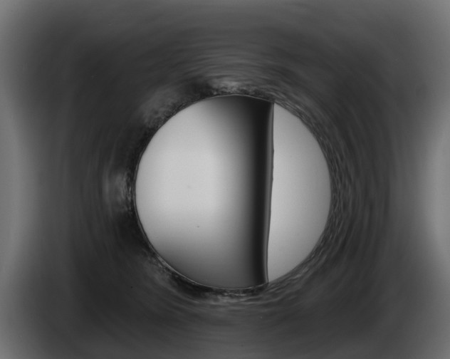 X0000085020420200703050942