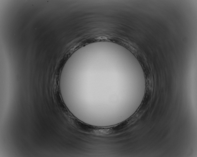X0000085020422200703050941