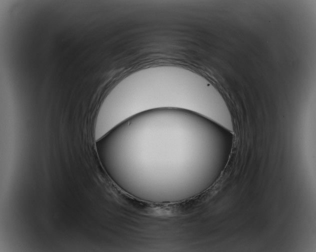 X0000085020423200703050941