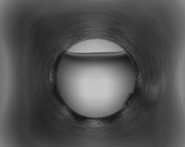 X0000085020424200703050941