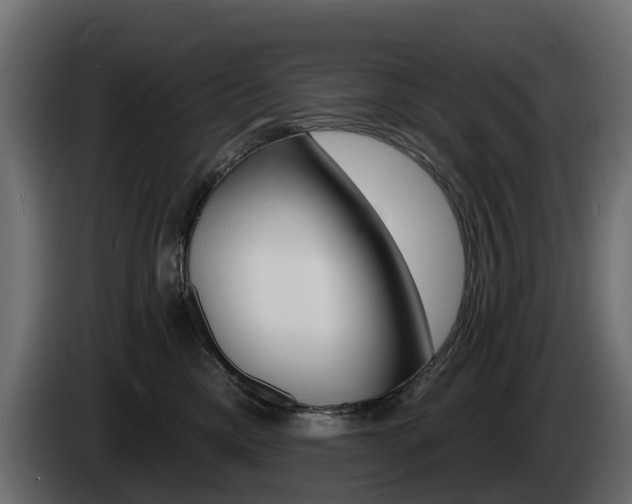 X0000085020425200703050941