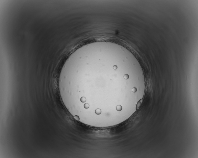 X0000085020426200703050941