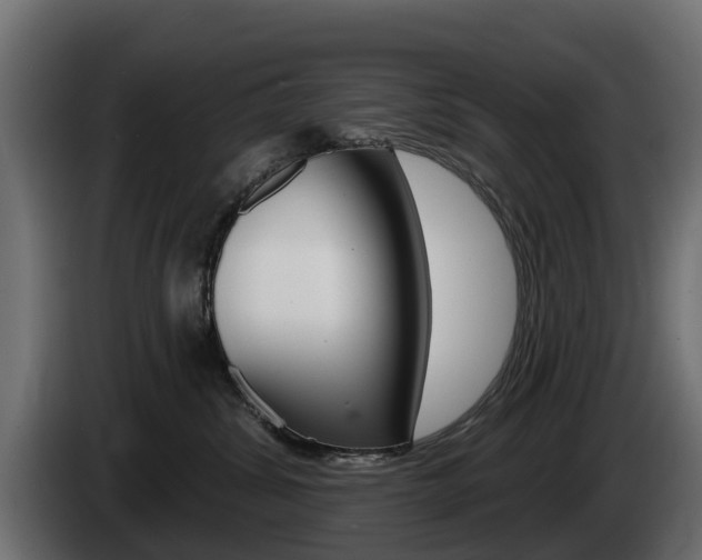 X0000085020428200703050941