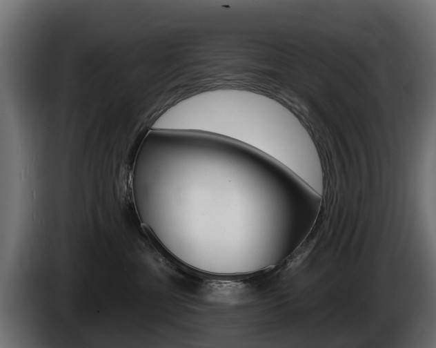 X0000085020429200703050941