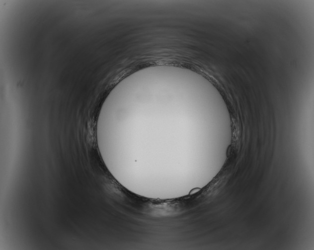 X0000085020430200703050941