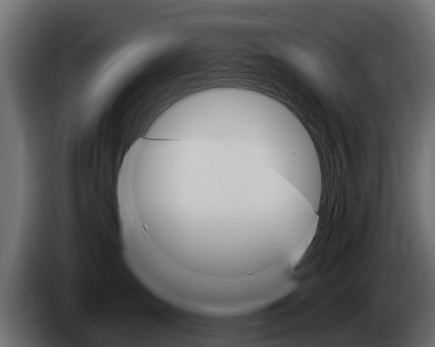X0000085020431200703050941