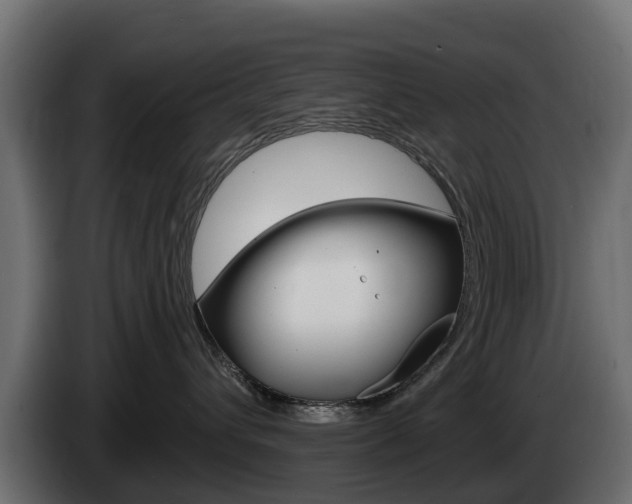 X0000085020432200703050941
