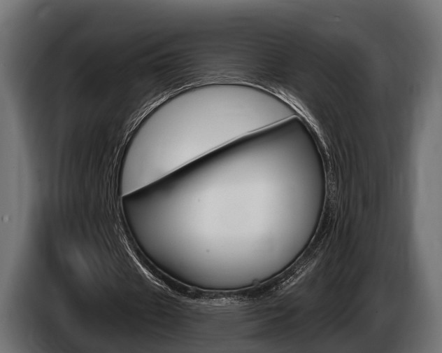 X0000085020433200703050941