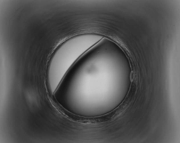 X0000085020434200703050941