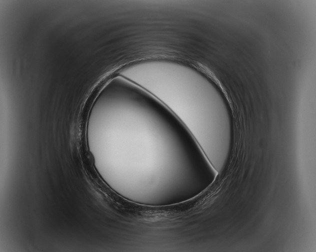 X0000085020435200703050941
