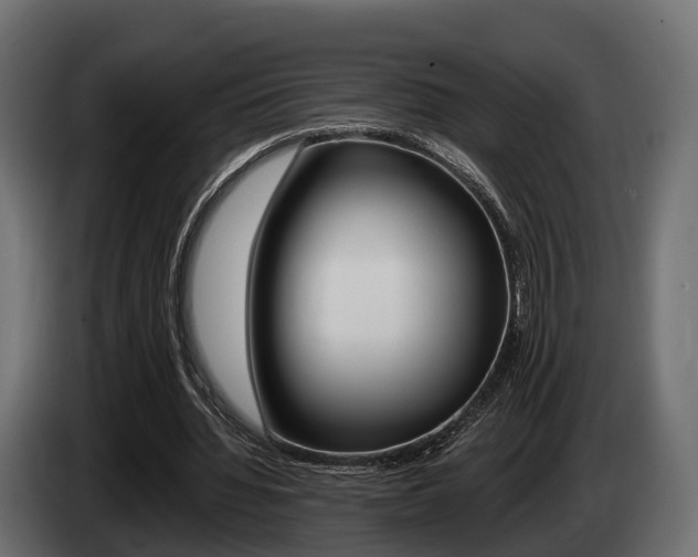 X0000085020436200703050941