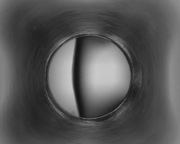 X0000085020437200703050941