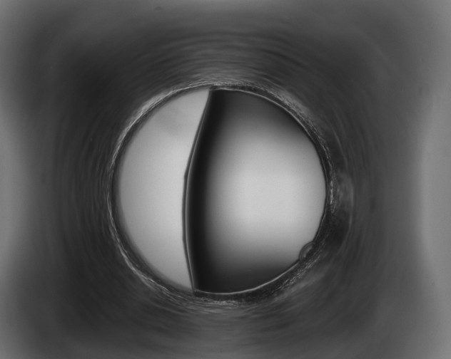 X0000085020438200703050941