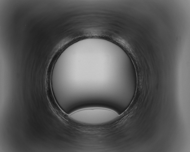 X0000085020439200703050941