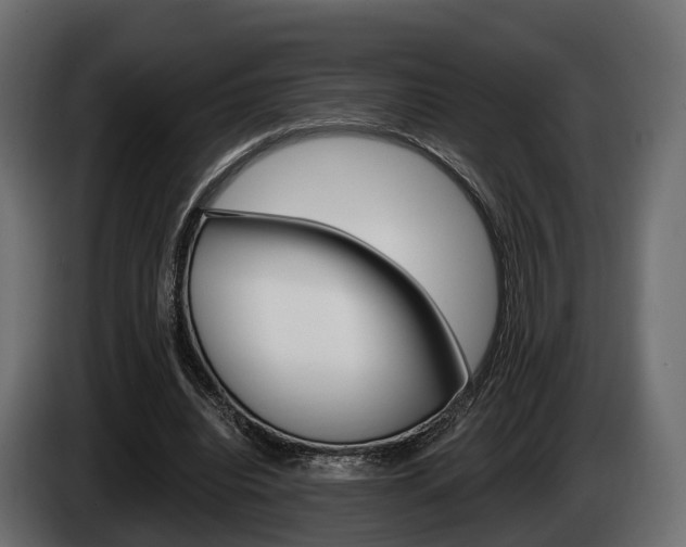 X0000085020440200703050941
