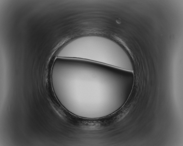 X0000085020443200703050941