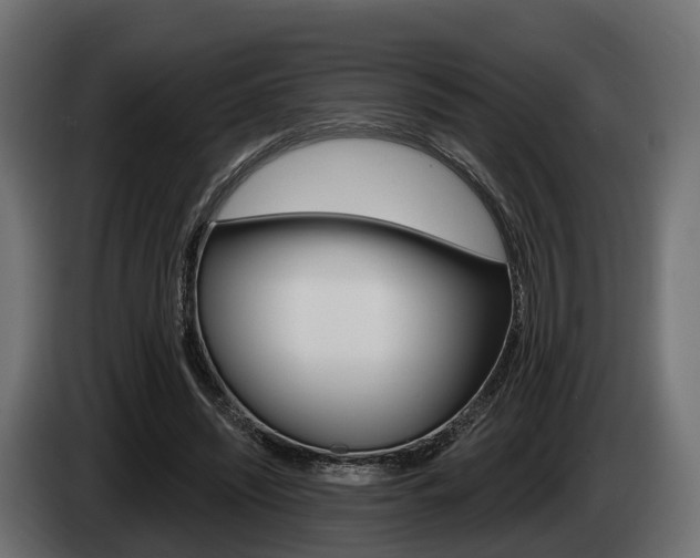 X0000085020444200703050941