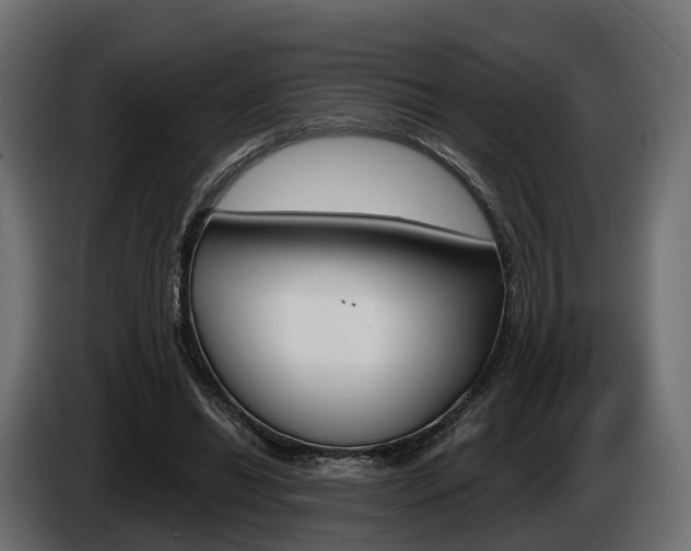 X0000085020446200703050941