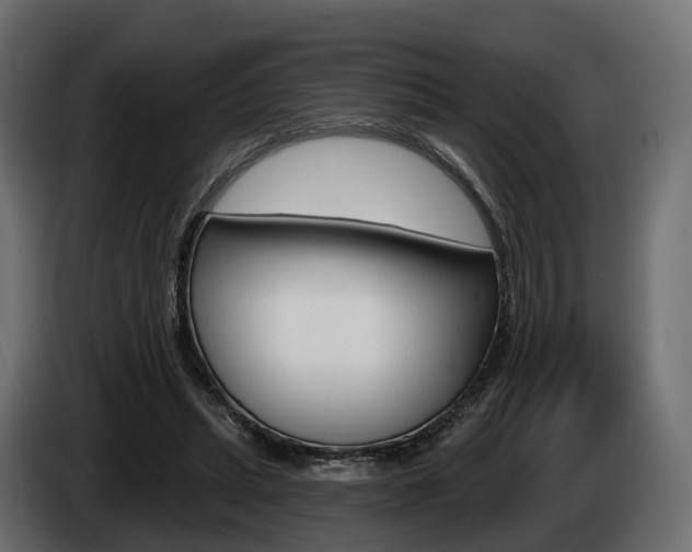 X0000085020447200703050941