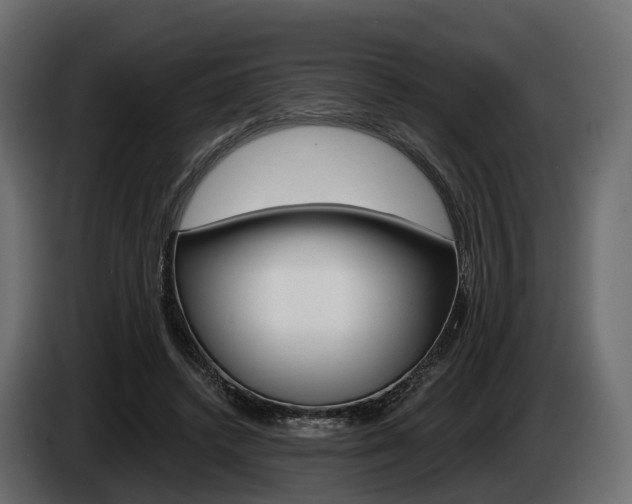 X0000085020448200703050941