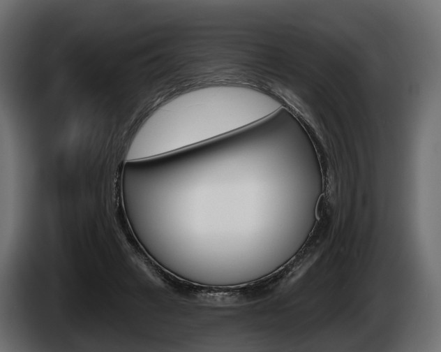 X0000085020449200703050941