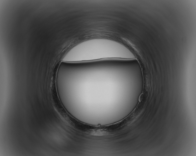 X0000085020451200703050941