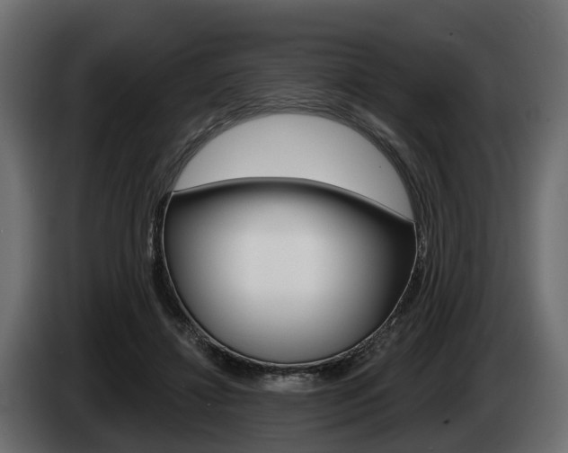X0000085020452200703050941