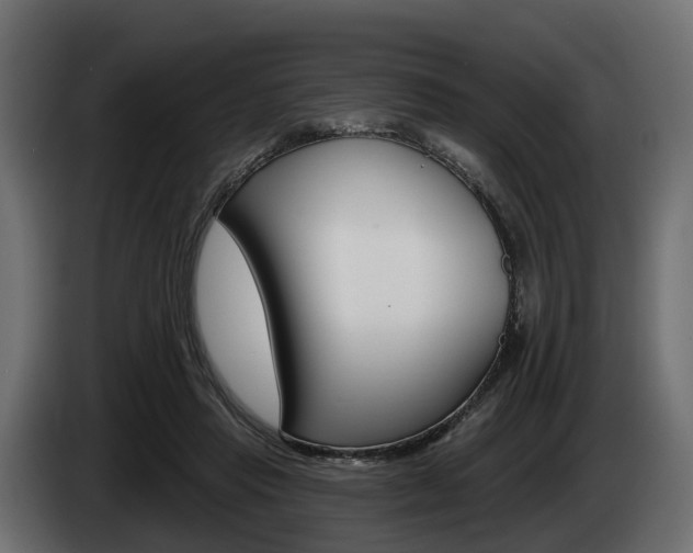 X0000085020453200703050941