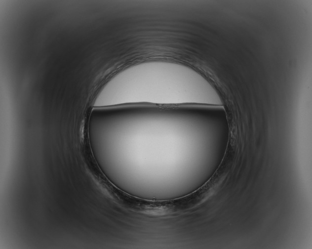 X0000085020454200703050941