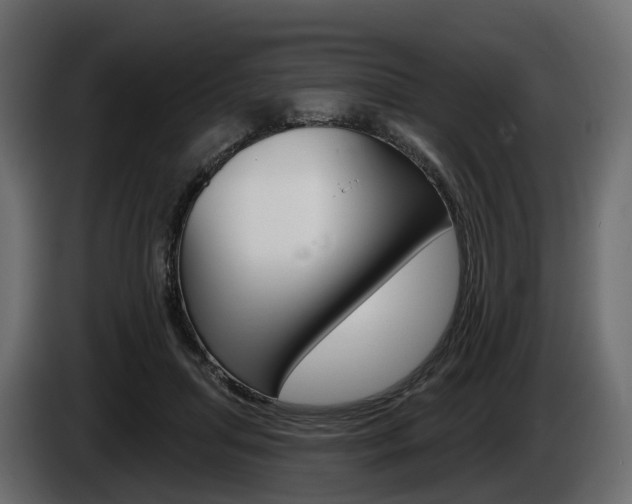 X0000085020455200703050941