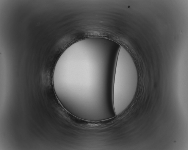 X0000085020457200703050941