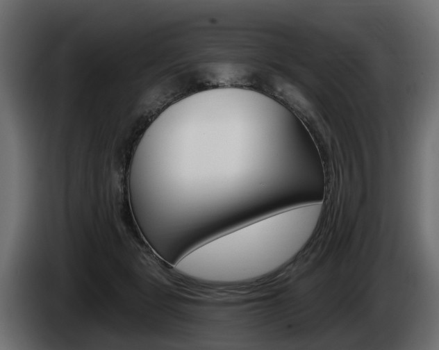 X0000085020461200703050941