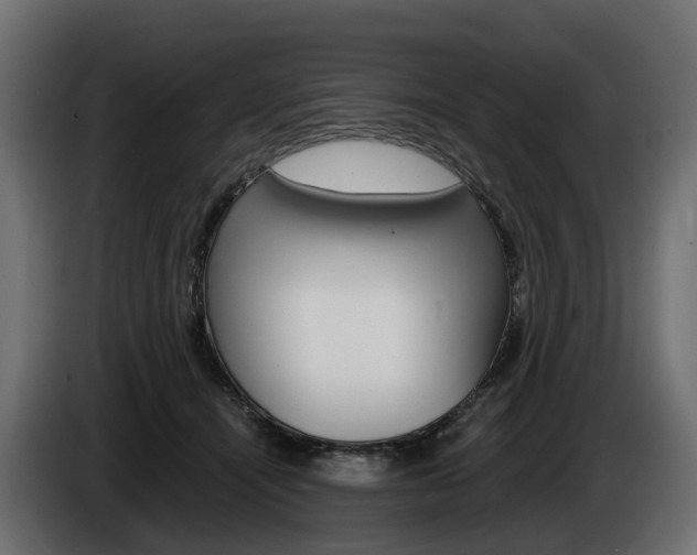 X0000085020464200703050941