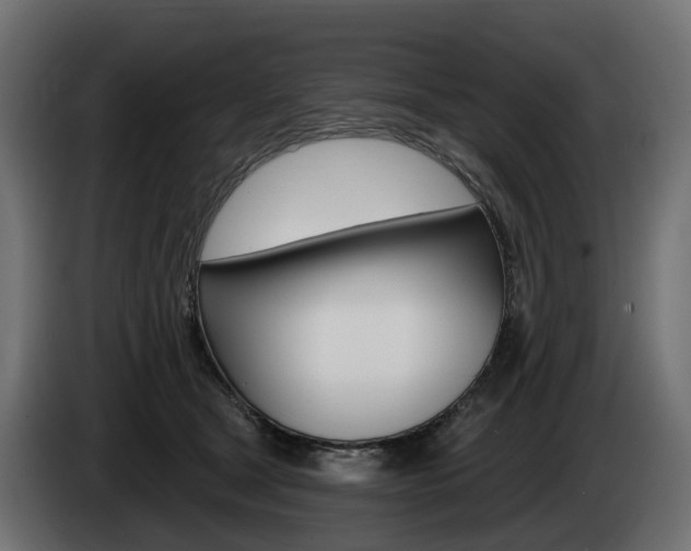 X0000085020465200703050941