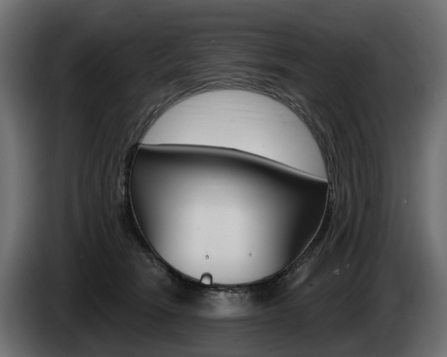 X0000085020466200703050941